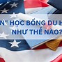 Học Nha Sĩ Tại Mỹ Bao Nhiêu Năm