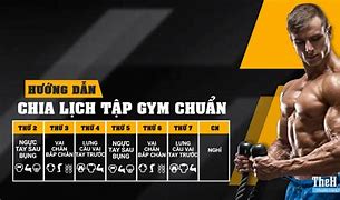 Lịch Tập Gym Cho Người Mới Voz