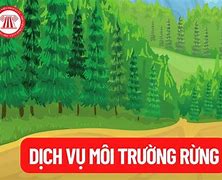 Phí Dịch Vụ Môi Trường Rừng